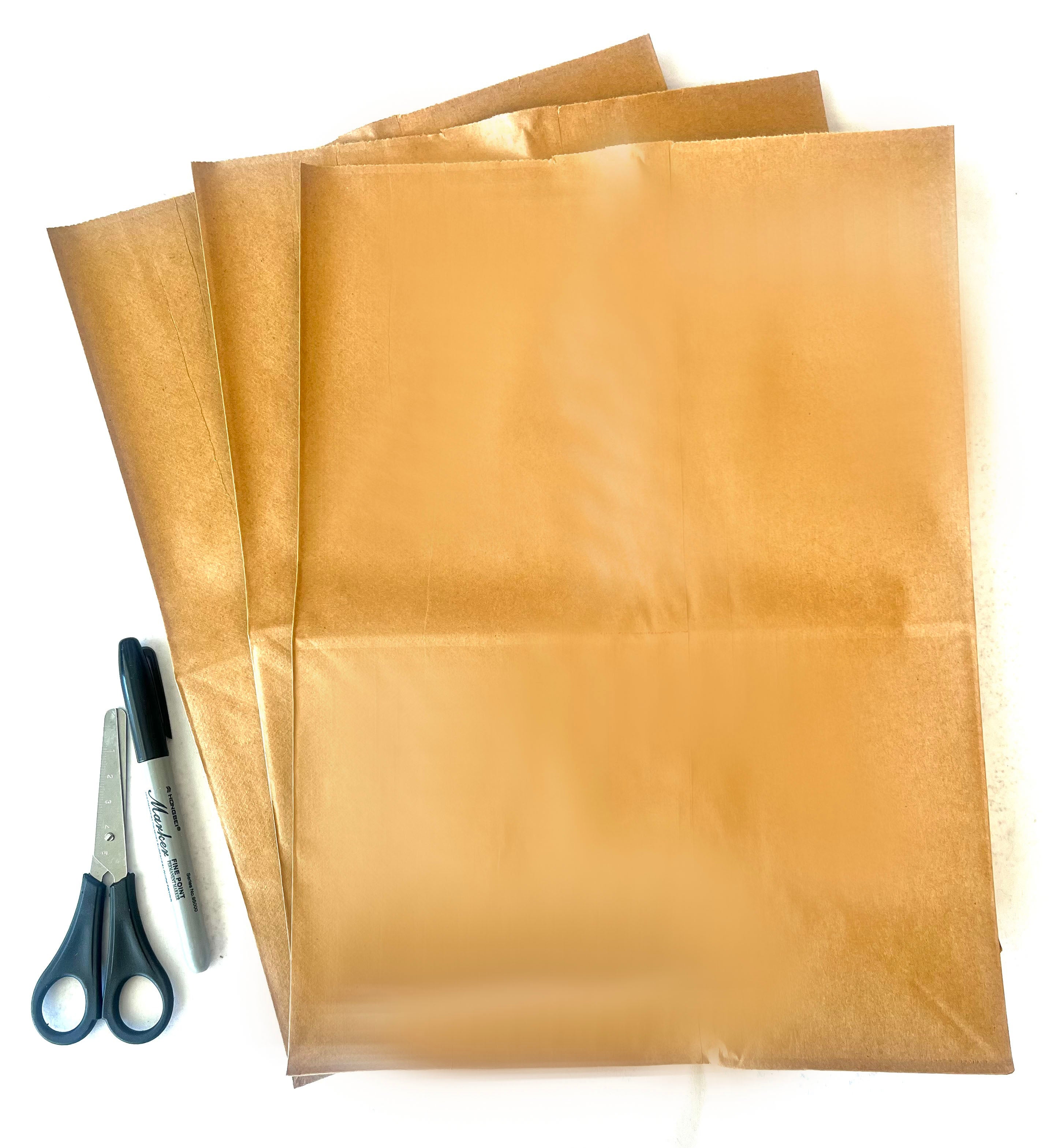 Aints Bags 3 Pack Kit